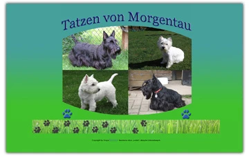 tatzen-von-morgentau.de